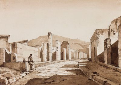 Pompeii, with Additions by Prince Gaetano Maria Federico di Borbone by Achille Vianelli